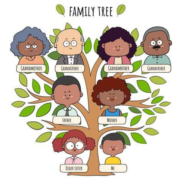 A Journey Through Family And Ancestry