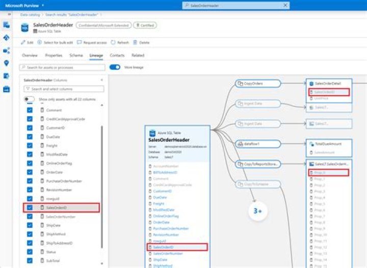 Azure Purview DataMap client library for .NET