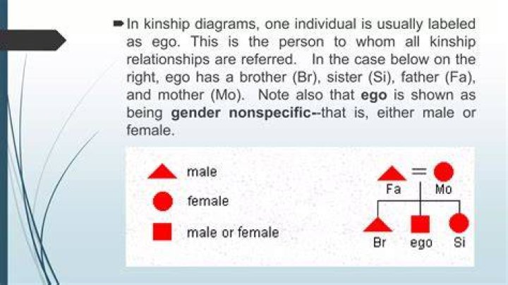 Breaking Down The Kinship: Oneil Cruz And De La Cruz's Family Connection