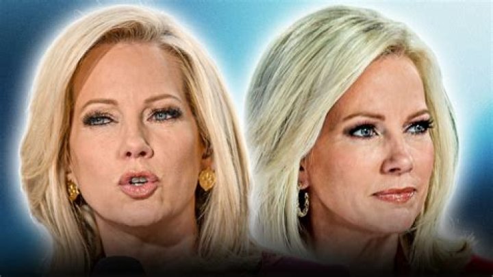 Discover The Truth: Uncover Shannon Bream's Family Details