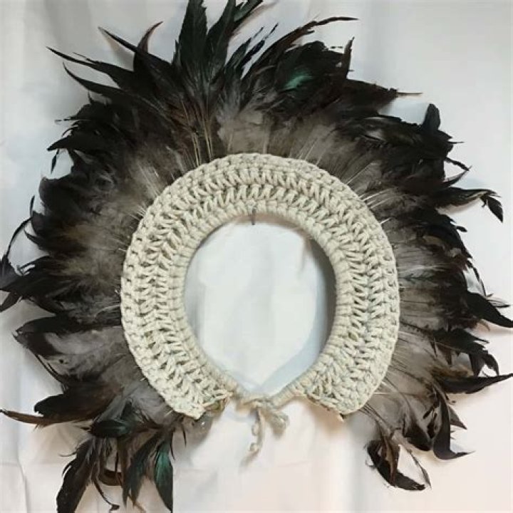 Feather ___ (flashy neckwear) ·
