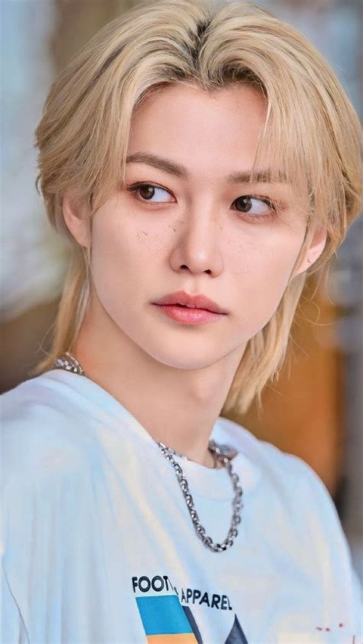 Felix (Stray Kids) Height, Weight, Age, Girlfriend, Biography, Facts ·