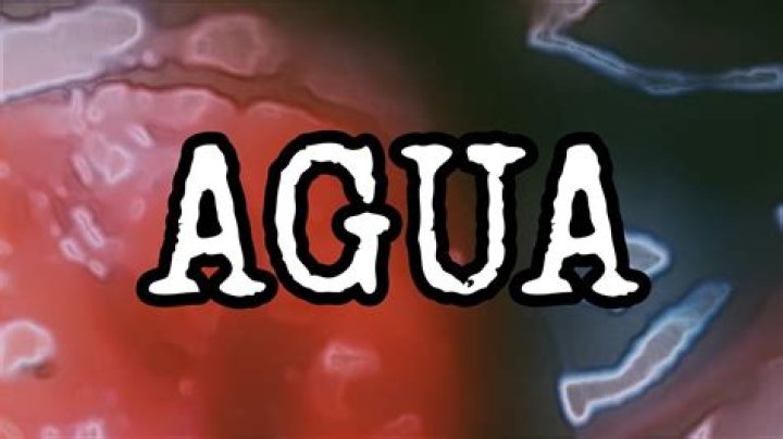 Gory Video Compilation: Quieres Agua?