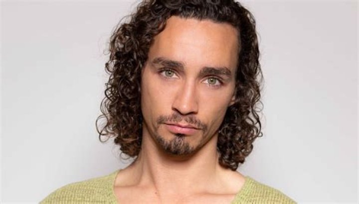 Robert Sheehan's Potential Partner In 2024: A Closer Look