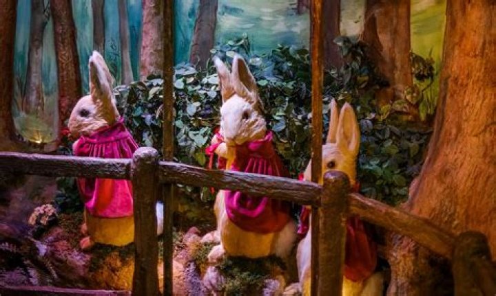 See Inside: The Enchanting World Of Playboy Magazine Unveiled