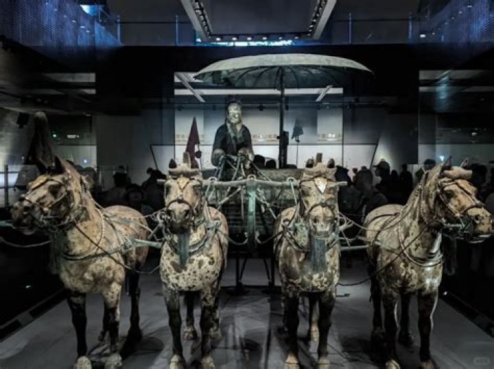 Star-Studded Lineage And Passion For Horses