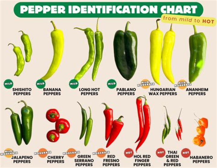 The Ultimate Guide To The Red Hot Chili Peppers' 19-Year-Old Girlfriend