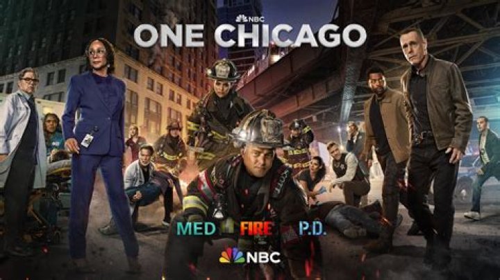 Ultimate Guide To Chicago P.D. Cast Members Who Faced Tragic Ends