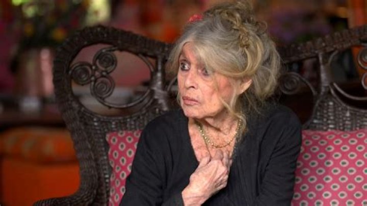 Uncovering The Professional Pursuits Of Brigitte Bardot's Son