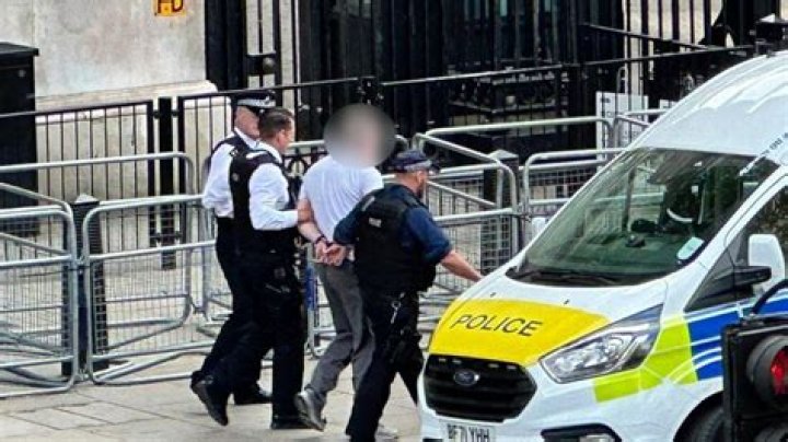 Was Molly Nolbitt Arrested? Breaking News And Details